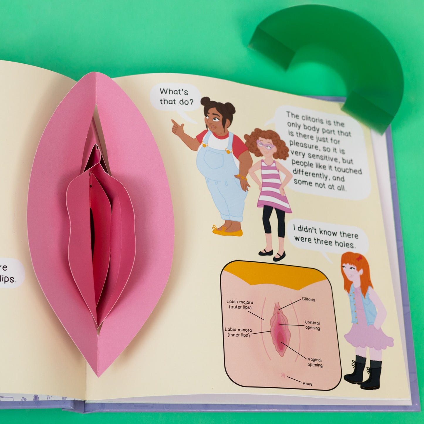 Vaginas and Periods 101 | A Pop-Up Book