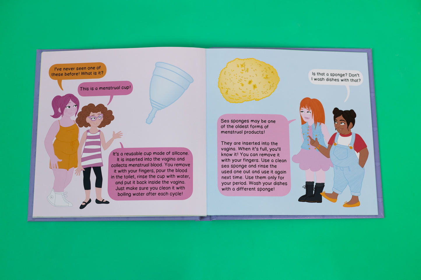 Vaginas and Periods 101 | A Pop-Up Book