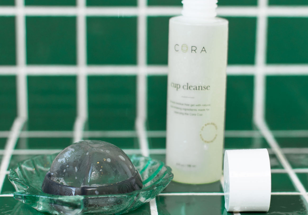 The Cora Disc Is a New Fan Favorite — And Now It's Back!