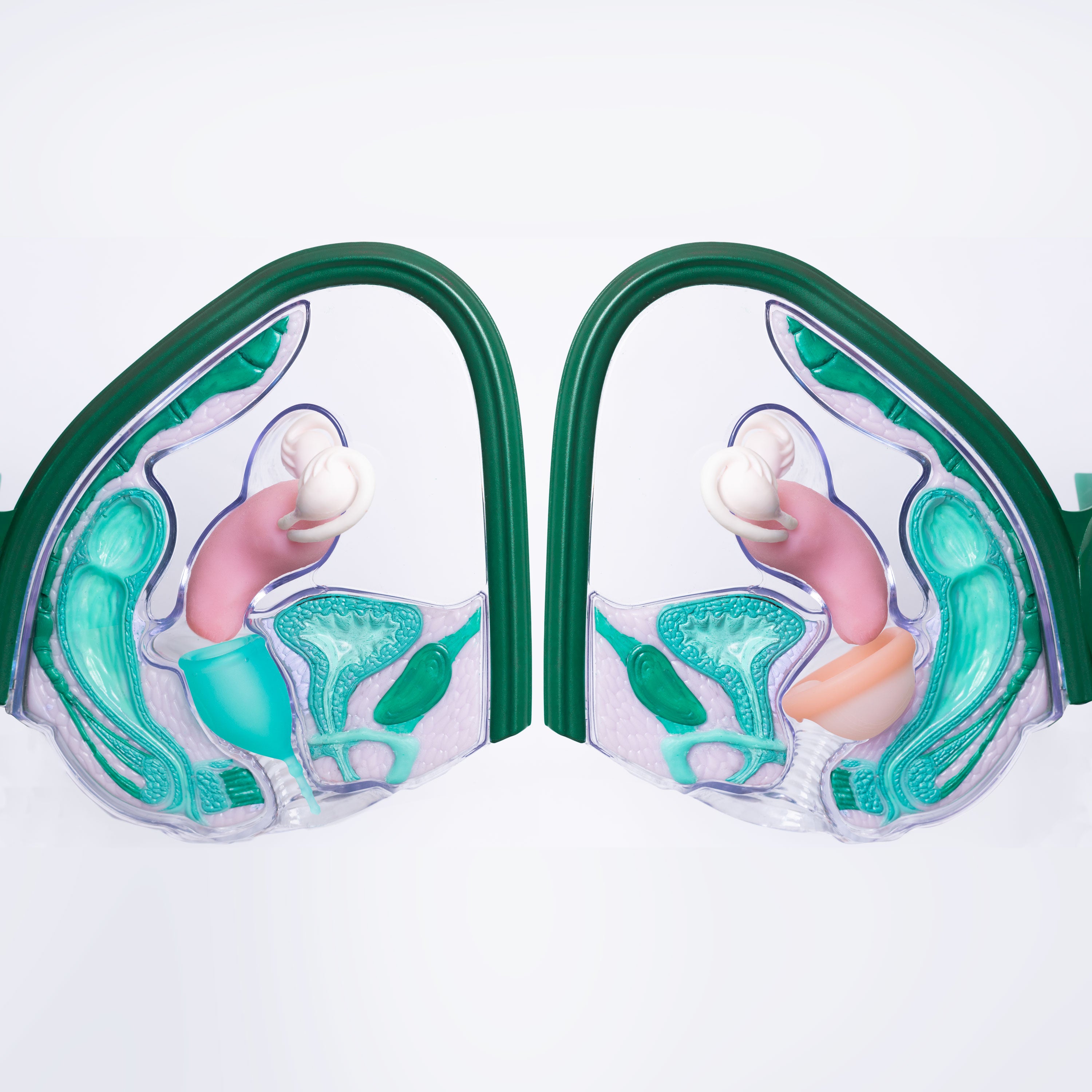 Menstrual Cup or Disc - Our Survey Says... 👍👎🫶