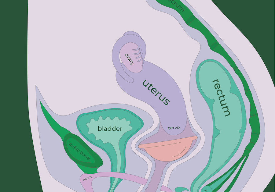 How to Pick Your Menstrual Disc Size