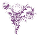 Uterine Anomaly Stickers