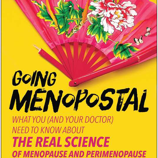 The cover of Going Menopostal by Amy Alkon shows a pink floral folding fan on a yellow background, with bold black and pink text for this witty guide to menopause and perimenopause.