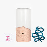 Saalt Cup + Disc Steamer and Accessories Bundle