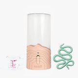 Saalt Cup + Disc Steamer and Accessories Bundle